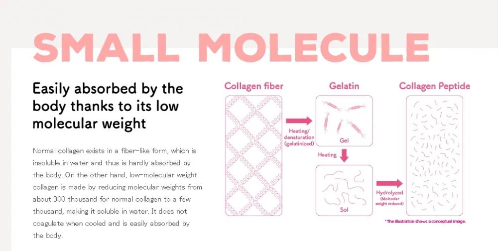 Collagen Introduce 3