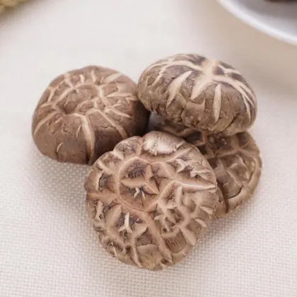 Tea Flower Shiitake Mushroom