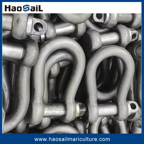 Corrosion-Resistant High-Fatigue LTM D-Type Mooring Shackle for Marine Hardware Connection