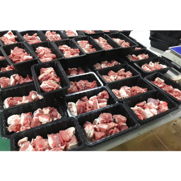 PP 화이트베이스 애완 동물 투명 뚜껑 뚜껑 플라스틱 저장 상자 저렴한 가격