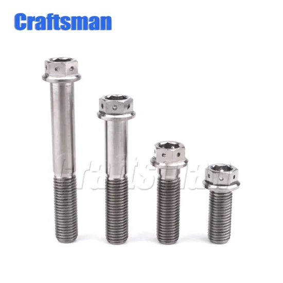 1Pcs Ti M8X 15-55mm & M10 X 20-100mm Motorcycle Modification Disc Brake Bolt Titanium Bolt Hexagon Flange Head Screw Ti Fastener