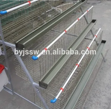Chicken Poultry Layer Cage For Sale