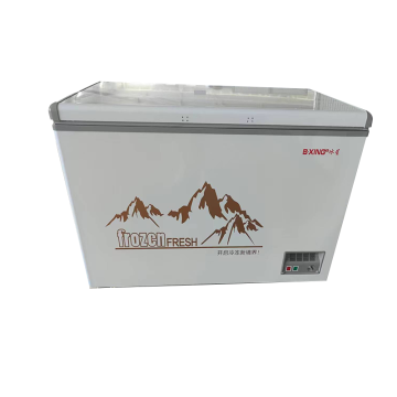 Horizontal Deep Freezer for Seafood Storage