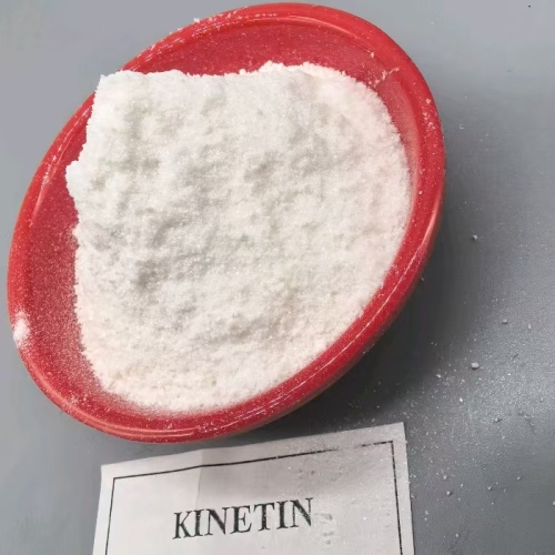 การใช้ Cytokinin Kinetin ในเอกวาดอร์