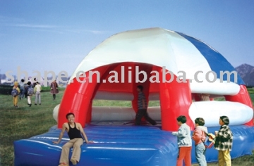 inflatable bear