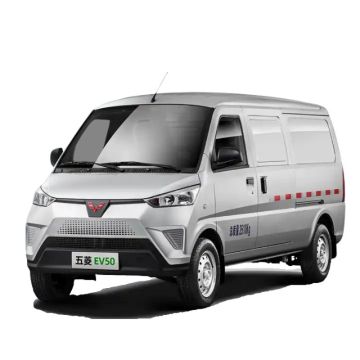 Official Store: WVTA Large Space Wuling Ev50 Commercial Van - 260km Range 80km/h Electric Mini Cargo Van