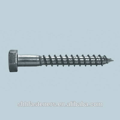 China Shanghai suppliers export DIN 571 Lag/Wood Screws