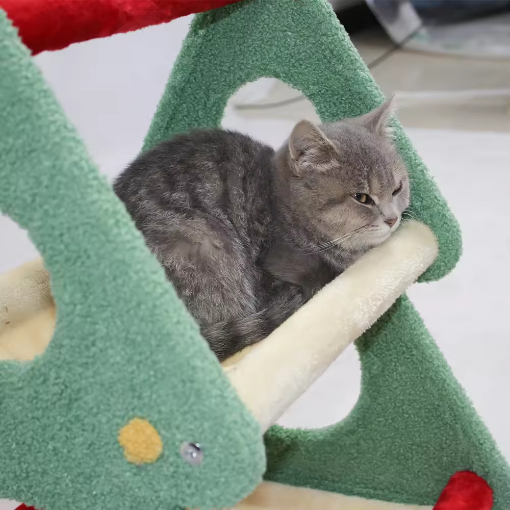 cat scratcher