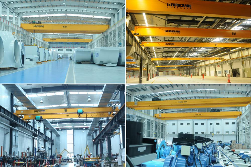 Single Girder/Double Girder Electric Overhead Crane