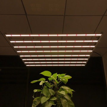 IP65 étanche à spectre complet LED poussent la lumière pour les serres