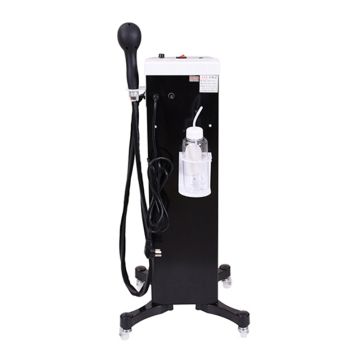 Produsen grosir 800ml/220V-240V/50Hz mesin nanosprayer