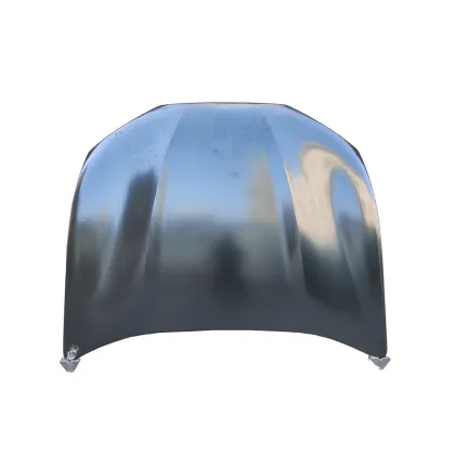 2021-2024 Ford Mustang Mach-E Aluminum Engine Hood Bonnet LJ8Z-16612-A