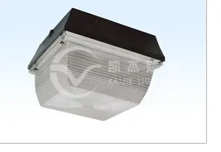 Ceiling Induction Light