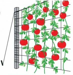 High Quality Plastic Hdpe Plastic Mesh
