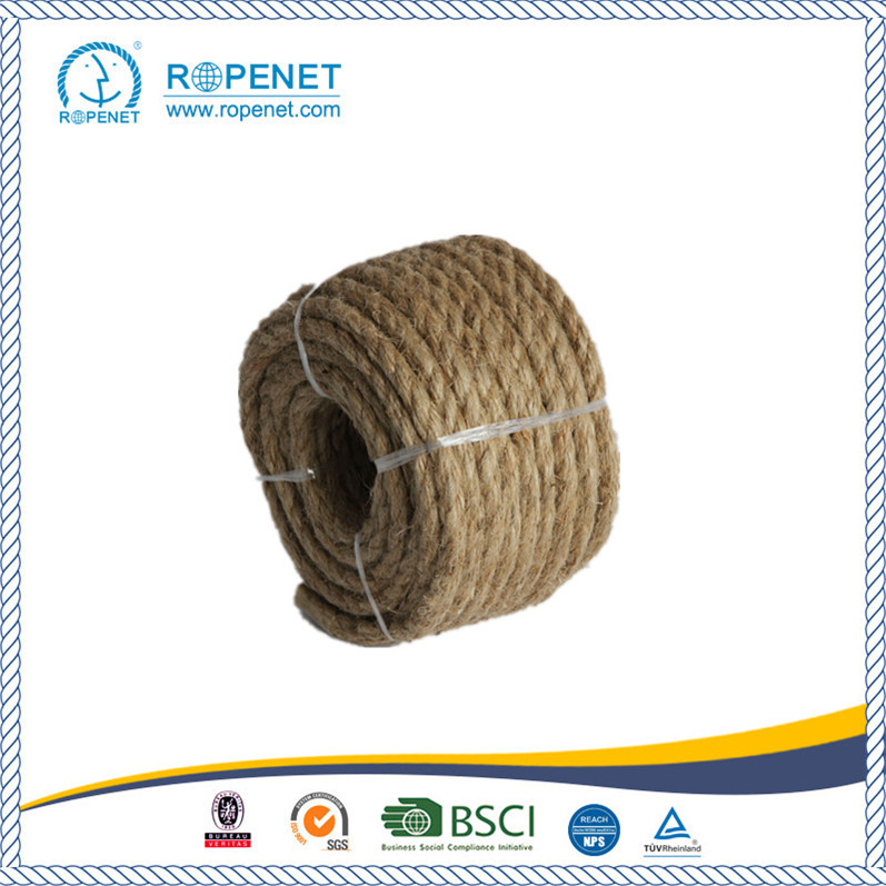 High Quality Jute Rope with Low Price