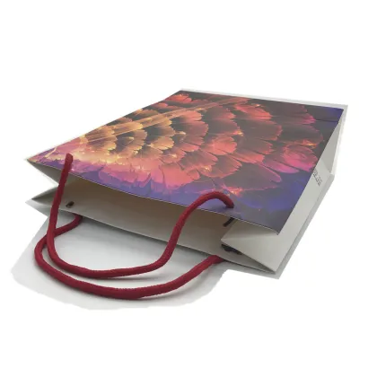 Matt lamination rope handle packaging bag