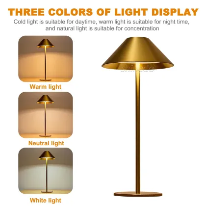 Elegant Electroplated Desk Light Modern Decor Desk Lamp