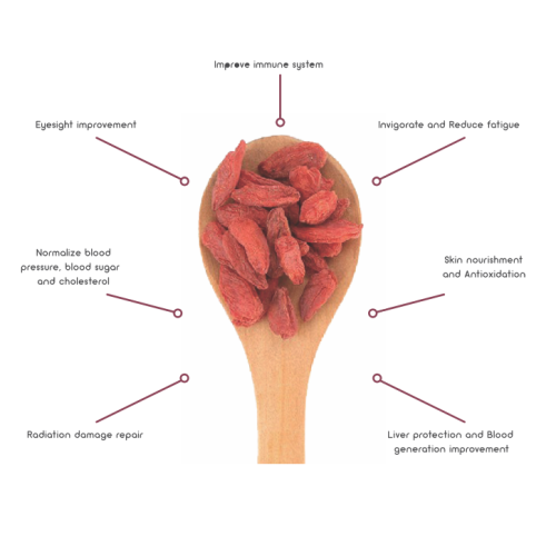 Rode Goji (Chinese Wolfberry) Theezakje