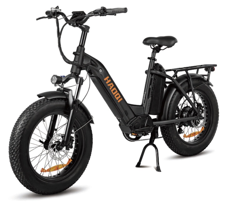 Antelope Dual Batteries 2.0 48V 25Ah Utility Electric Bike