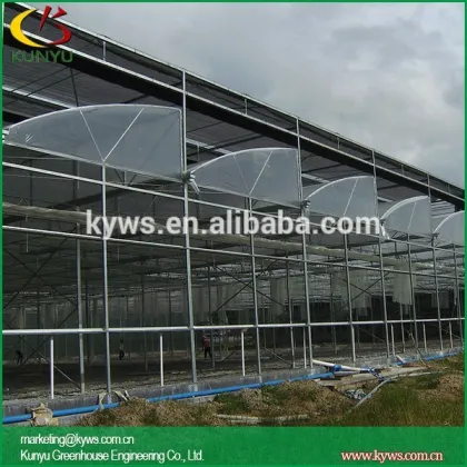 Sawtooth type polyethylene film greenhouse poly film greenhouse