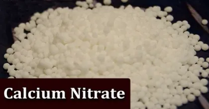 S-Saliing Calcium Salts Granular Calcium Nitrate 99% Percent