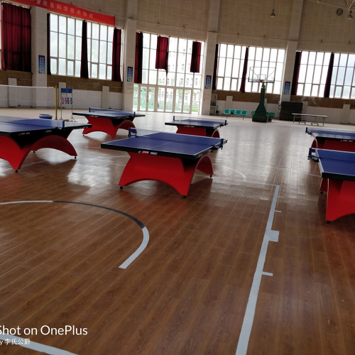 Vinyl Table Tennis floor mats with ITTF