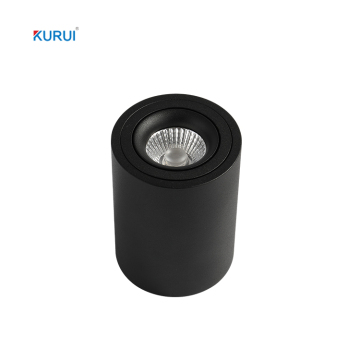 Moderne Aluminiumlegierung doppelt runde flache LED -Downlight