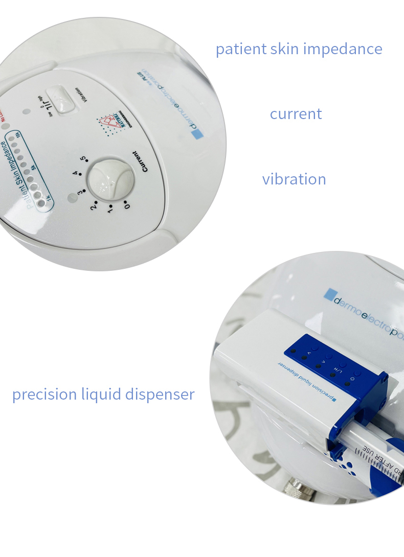 Anti-aging electroporation device