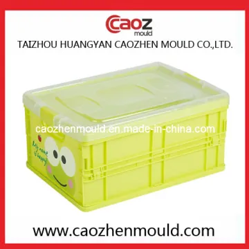 Foldable Crate Mould