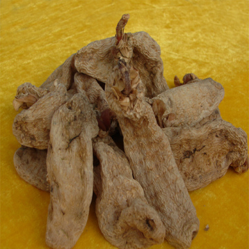 Gastrodia elata Blume tea