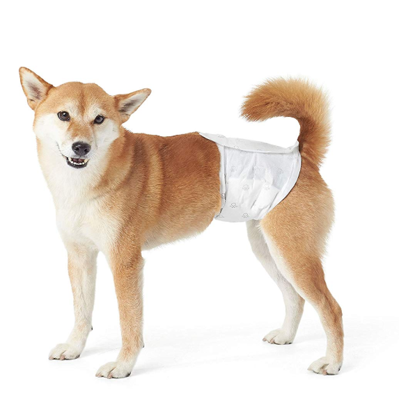 Male Dog Wrap Diapers