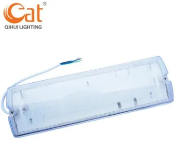 LED emergency bulkhead lights for outdoor use
