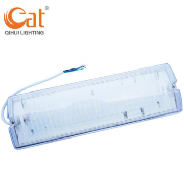 LED emergency bulkhead lights for outdoor use