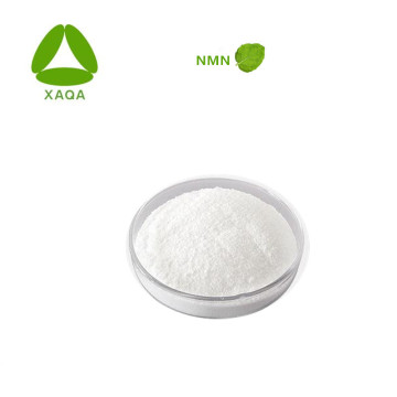 Anti-Aging Material Beta-Nicotinamide Mononucleotide NMN