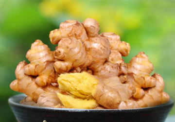 Primary Processed Semi Dried Air Dried Ginger