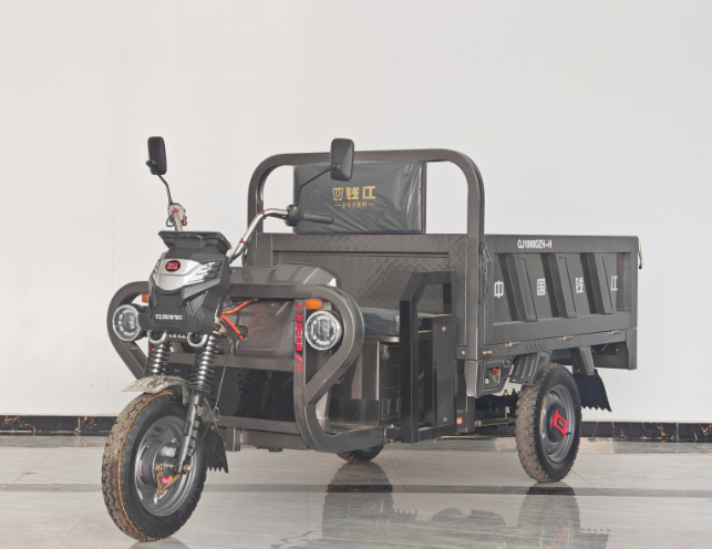 Durable Two-light Electric Tricycle