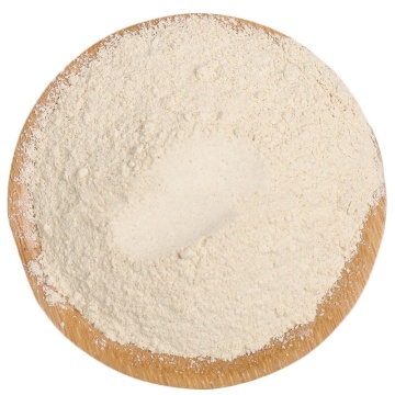 Panax Ginseng Rohstoff Pulver Panaxquinquefolius Pulver