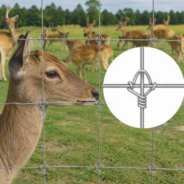 Cross Lock Knot verzinkter Drahtzaun für Rinder und Hirsche