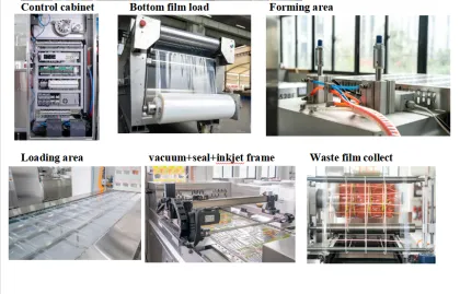 Tengtong Dried Dates Automation Thermoforming Vacuum Packaging Machine