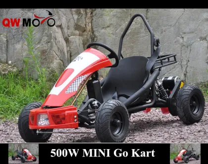 QWMOTO CE 800W Go Kart for childern use Only 36V 800W Electric Buggy Go Kart Mini Racing go kart