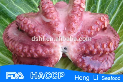 Frozen Octopus, Octopus Vulgaris,Octopus Ocellatus