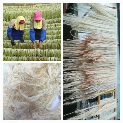 Hemp Leaf Fiber and Stem Separator Machine - Hemp Processing and Sisal Decorticator in USA