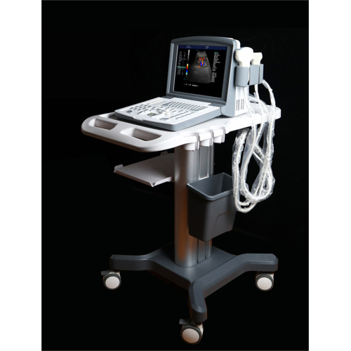 Portable Color Doppler Ultrasound Machine for Gynecology