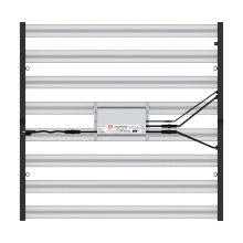 640 W Grow Light Lamps voor binnenplanten