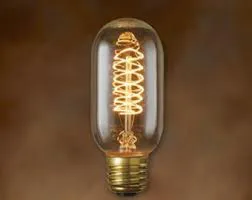Thomas Edison vintage light bulb squirrelcage filament globe E27 40W