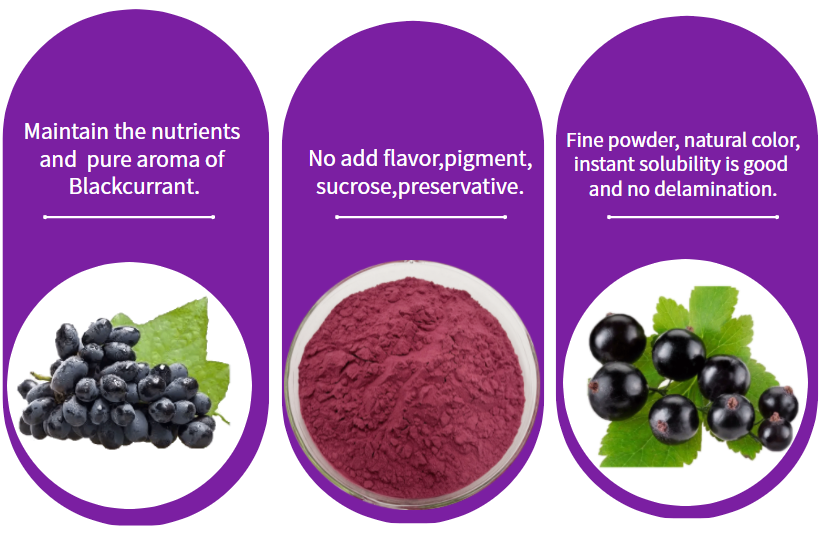 3.Blackcurrant Powder