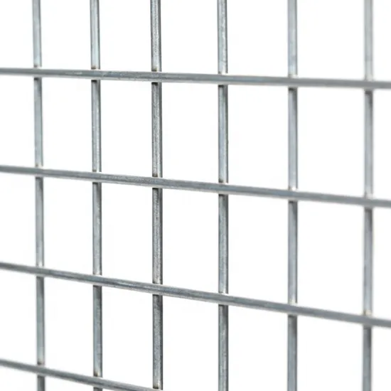 Hot Dipped Galvanized Welded Mesh Panels - Top Selling Quality 1x1 and 2x2