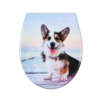 DUROPLAST TOALET SEAL Мягкое закрытие быстрого выпуска (CORGI)