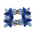 Clips de chaussures en strass bleu et blanc