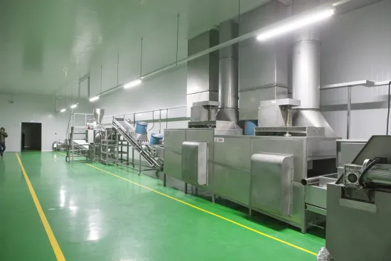 Continuous Deep Frying Line